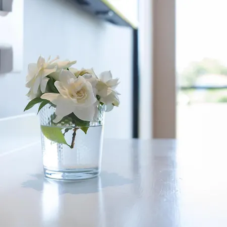 Lägenhet Holidays *